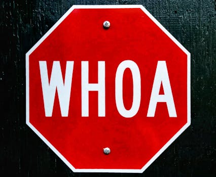 Protestní Hlasy: Signál Změny nebo Ztracená Šance?